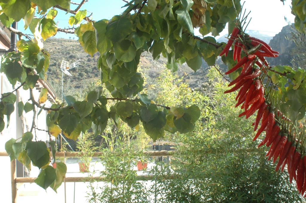 Cortijo Los Cahorros Sierra Nevada Моначил Екстериор снимка
